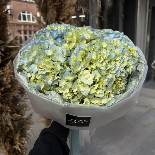 Букет из зелено-голубых гортензий 5шт