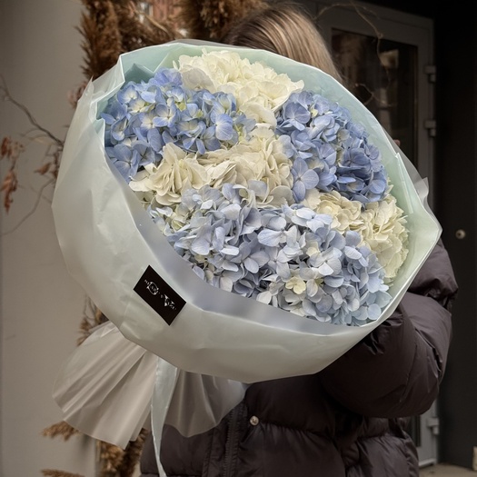 Букет из гортензий микс 7шт