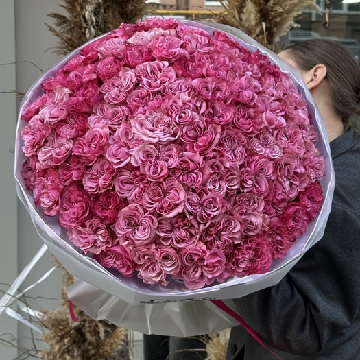 Букет из роз сорта «COUNRY BLUES» 77шт