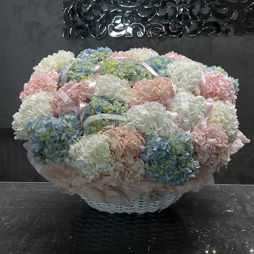 WOW-корзина из колумбийских гортензий 25шт
