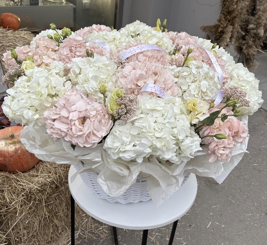 Авторская корзина из гортензии, эустомы и озотамуса