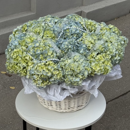 Корзина из 17 голубых гортензий